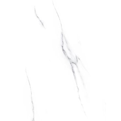 white porcelain tile with black veins